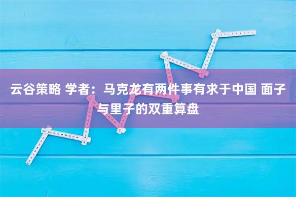 云谷策略 学者:马克龙有两件事有求于中国 面子与里子的双重算盘